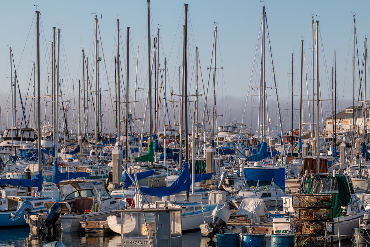 A bustling marina filled with sailboats, masts, and fishing equipment at sunset.